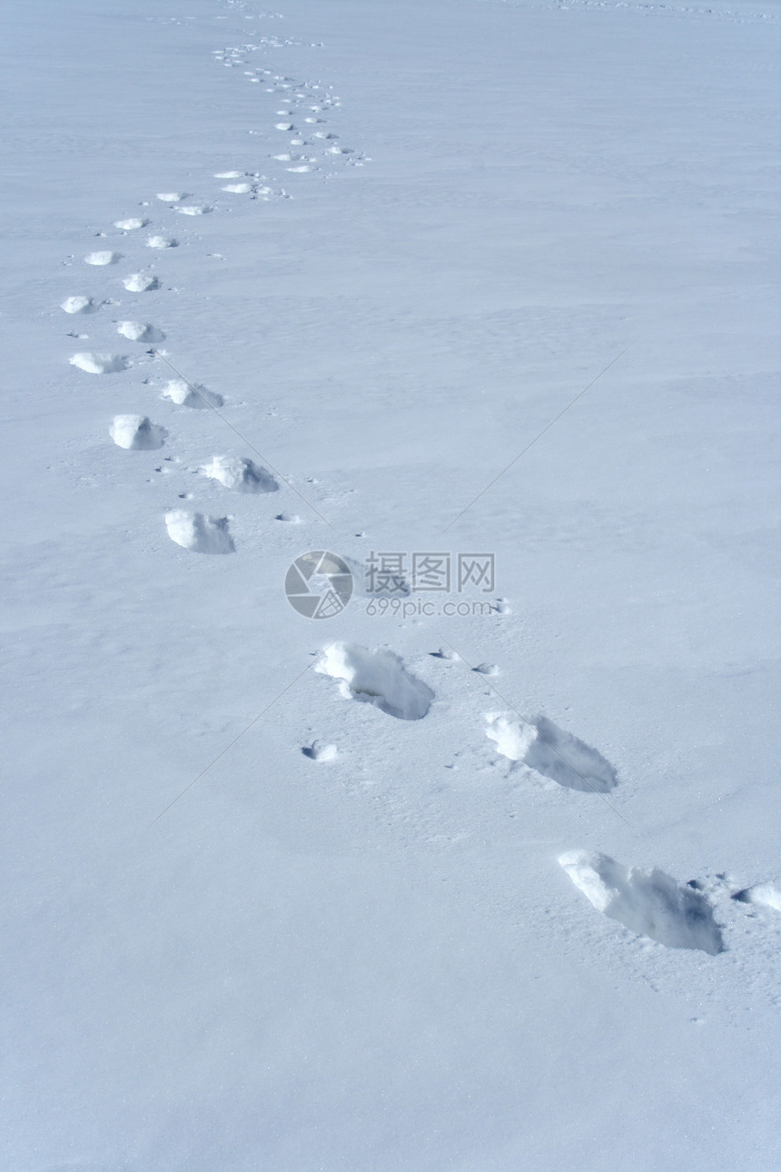 雪中脚印曲线海浪白色曲目脚步声探险家人行道小路人迹途径图片