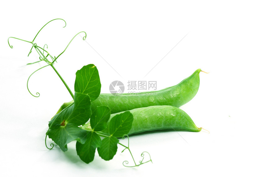 孤立的豌豆小吃粮食豆类植物美食绿色宏观食物种子白色图片