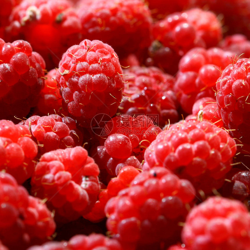 草莓背景饮食美食营养食物味道红宝石诱惑宏观覆盆子生产图片
