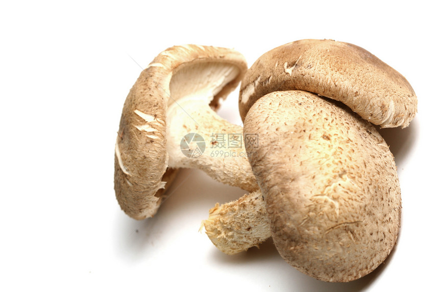 蘑菇棕色美食药品培育异国生产烹饪蔬菜食物白色图片