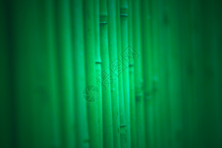 竹子背景摘要资源木头艺术植物栅栏绿色背景图片