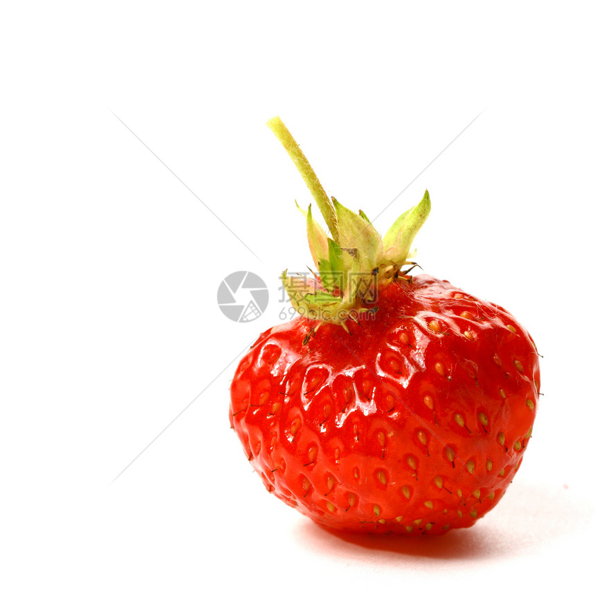 孤立的草莓宏观红色白色水果食物图片