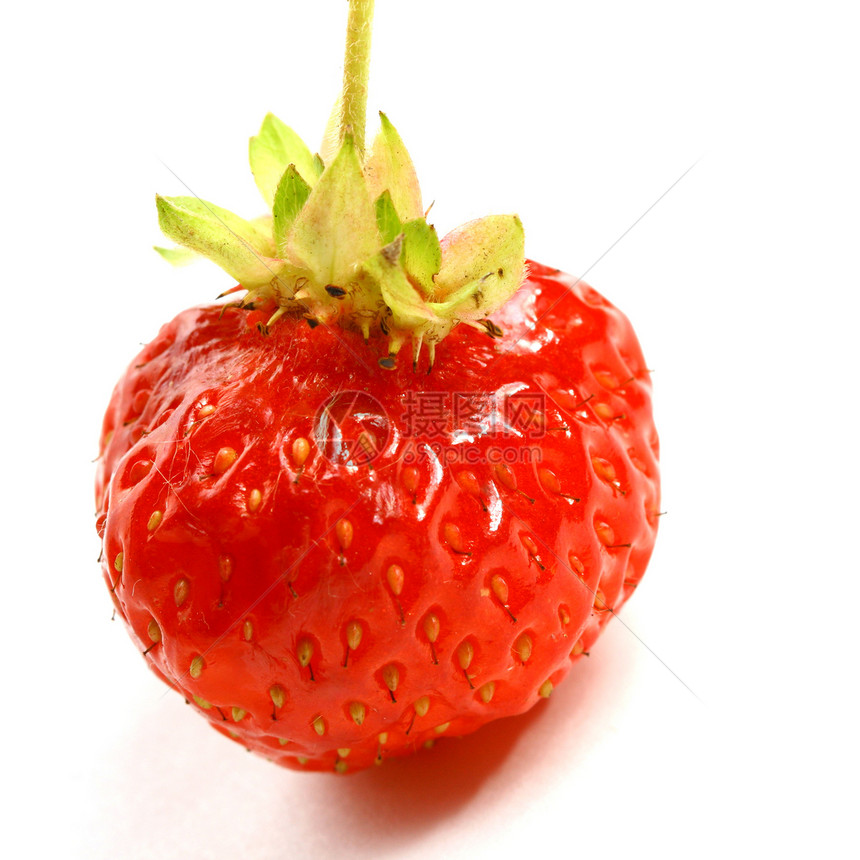 孤立的草莓食物水果白色红色宏观图片