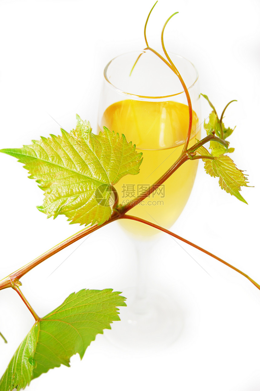 肌肉玻璃杯白色叶子漩涡植物葡萄叶葡萄园藤蔓水果绿色生长图片