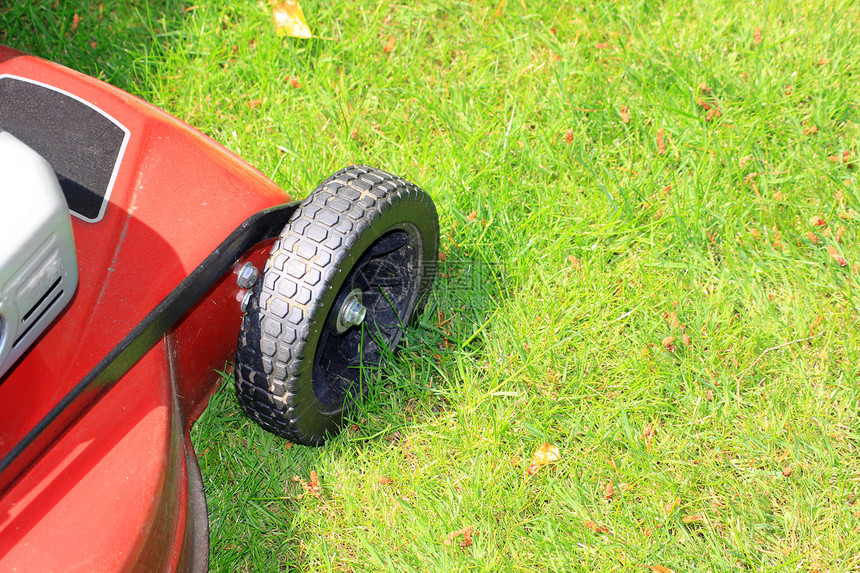 红色草坪除草机绿色草地园林工具轮胎割草机发动机橡皮黑色园艺图片