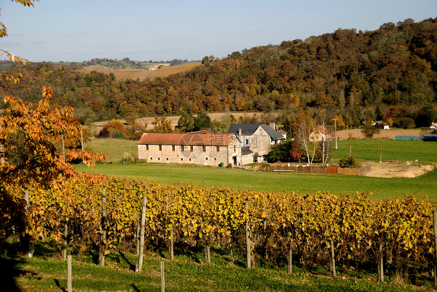 法国Aquitane的家园和葡萄园树叶旅行栽培满生农场农业房子图片
