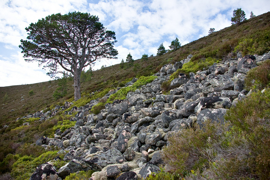 和树木岩石高地山脉天空绿色风景土地爬坡乡村图片