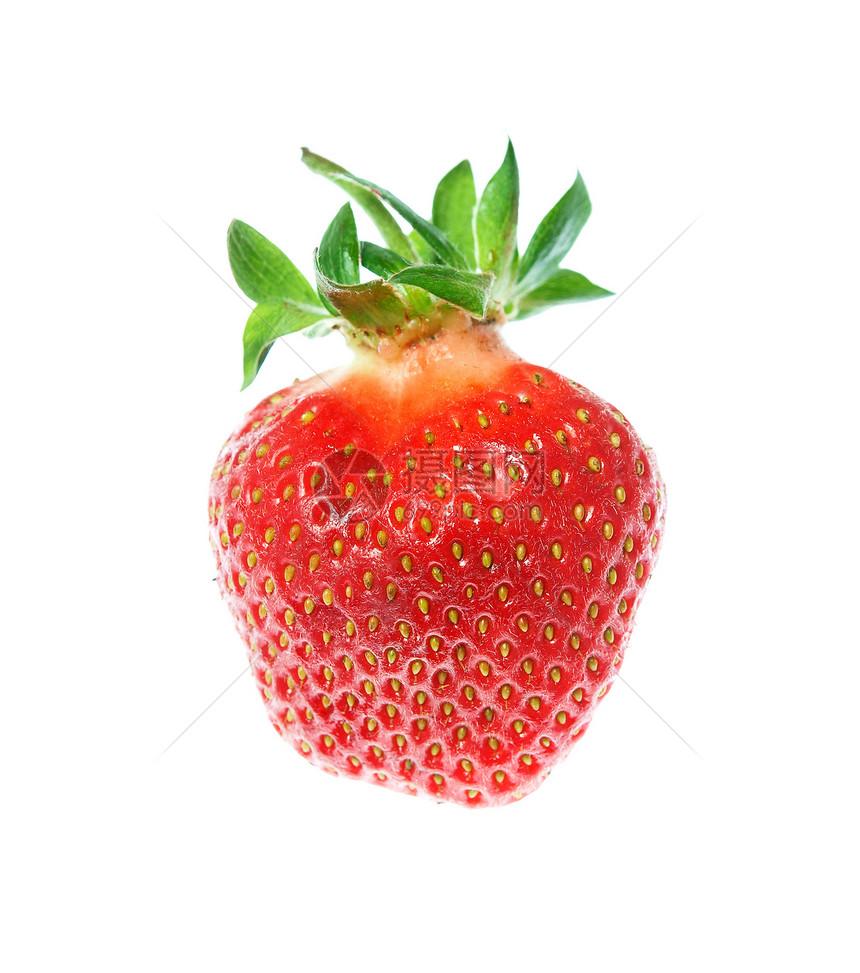 在白色背景中隔离的新鲜和美味鲜嫩草莓饮食食物宏观叶子水果茶点种子蔬菜收获农民图片