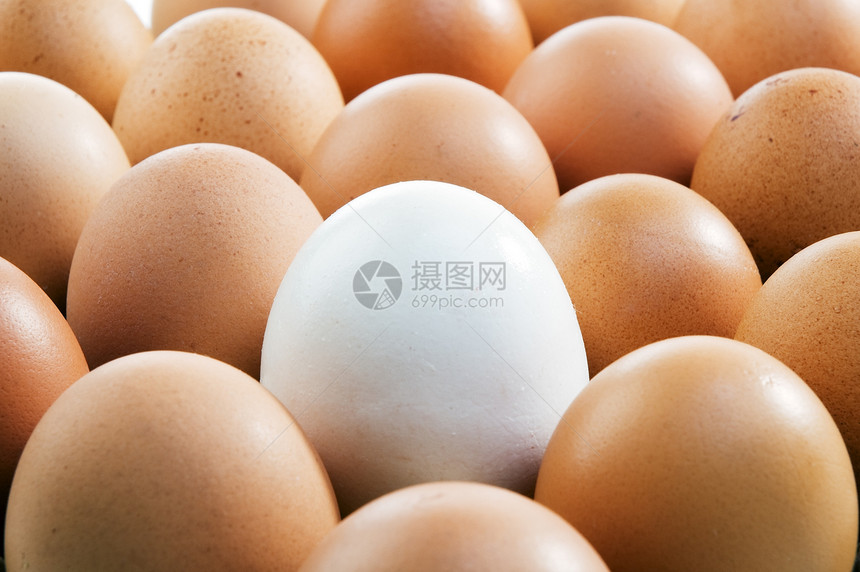 鸡蛋背景食物团体饮食家禽蛋壳营养图片