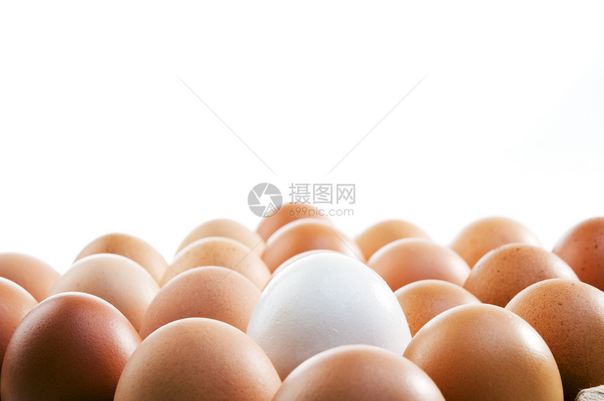 鸡蛋鸡蛋模式图片