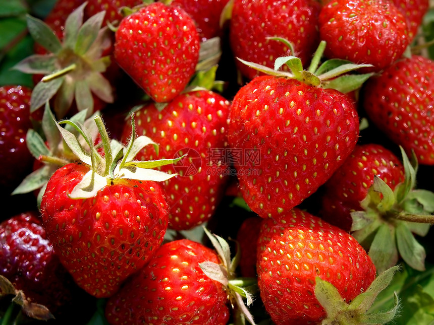 在白色背景中隔离的新鲜和美味鲜嫩草莓收获叶子种子宏观饮食蔬菜茶点甜点水果浆果图片