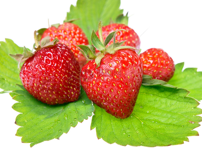 在白色背景中隔离的新鲜和美味鲜嫩草莓收获甜点茶点蔬菜饮食水果浆果叶子种子农民图片