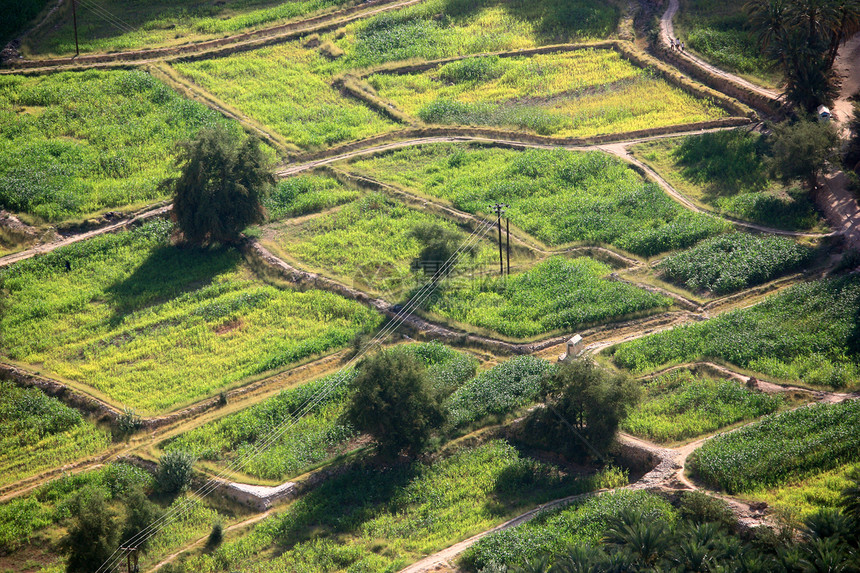 绿绿地农田地貌土壤绿色世界乡村国家旅行土地飞机图片