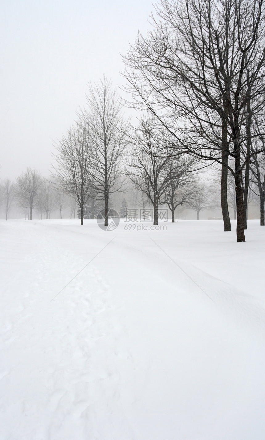 冬天公园的雪盖着小巷图片