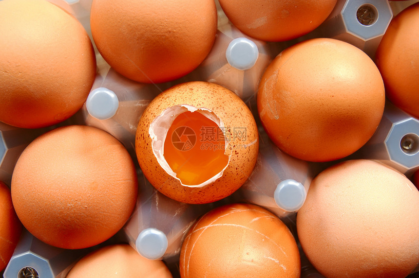 一组鸡蛋厨房活力烹饪早餐胚胎午餐孵化器卵黄孵化场杂货图片