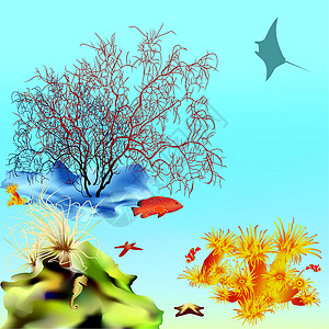 珊瑚礁-1珊瑚蝠鲼高清图片