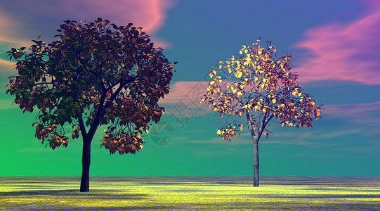 两棵树粉色橙子插图黑色黄色白色绿色树木彩虹蓝色背景图片