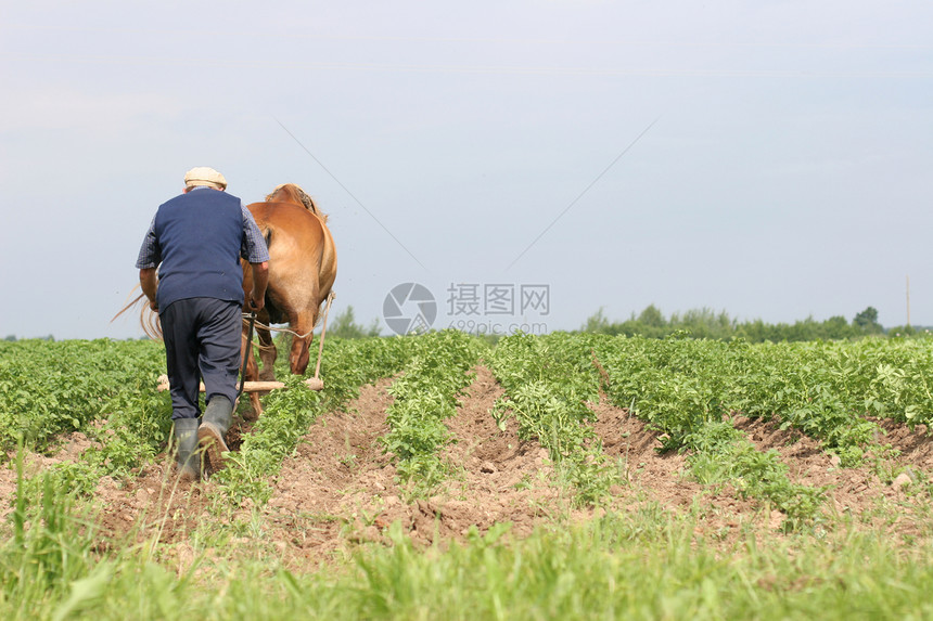 白俄罗斯农民图片