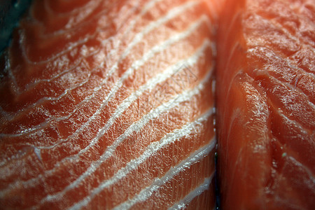 新鲜鲑鱼的详情背景图片