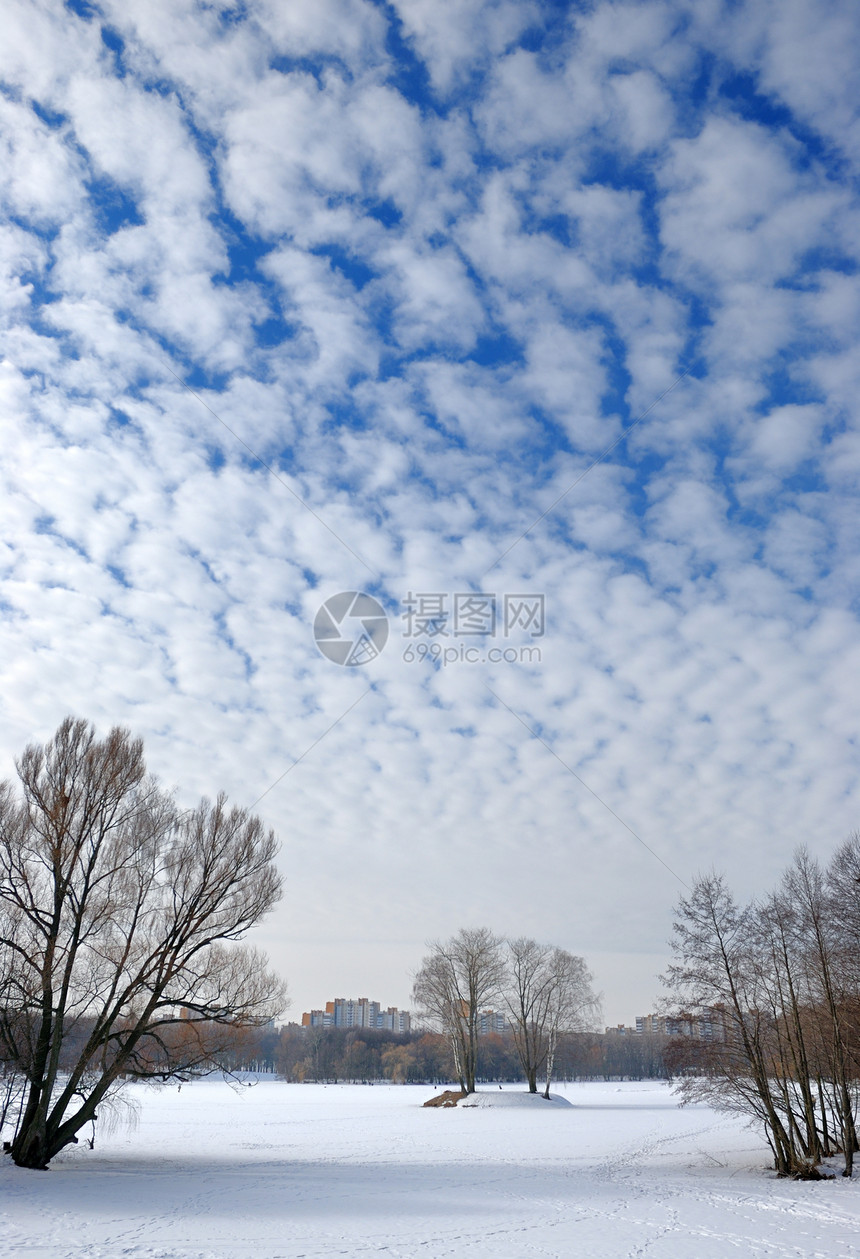冬天的天空有云城市痕迹树干色调白色分支机构蓝色树木灌木丛房屋图片