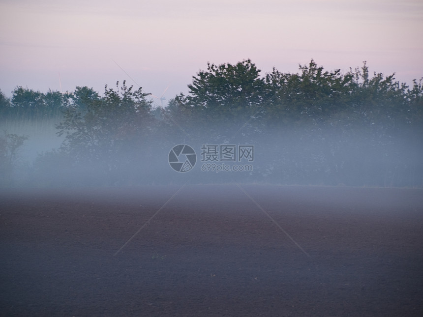 雾雾雾的黑暗风景阴影场景森林树木梦幻季节太阳墙纸射线薄雾图片