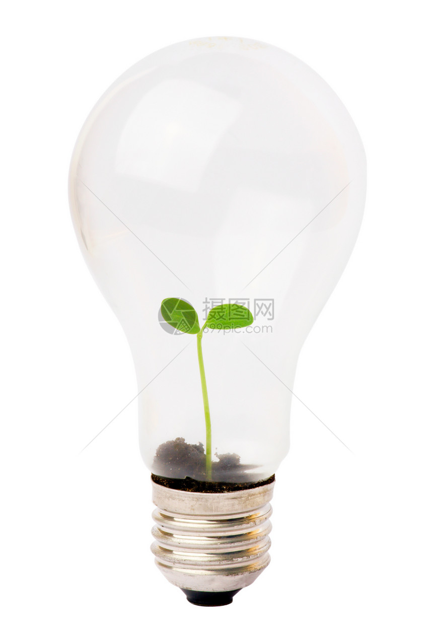 灯泡 里面生长植物活力资源地球绿色解决方案全球技术概念环境生态图片