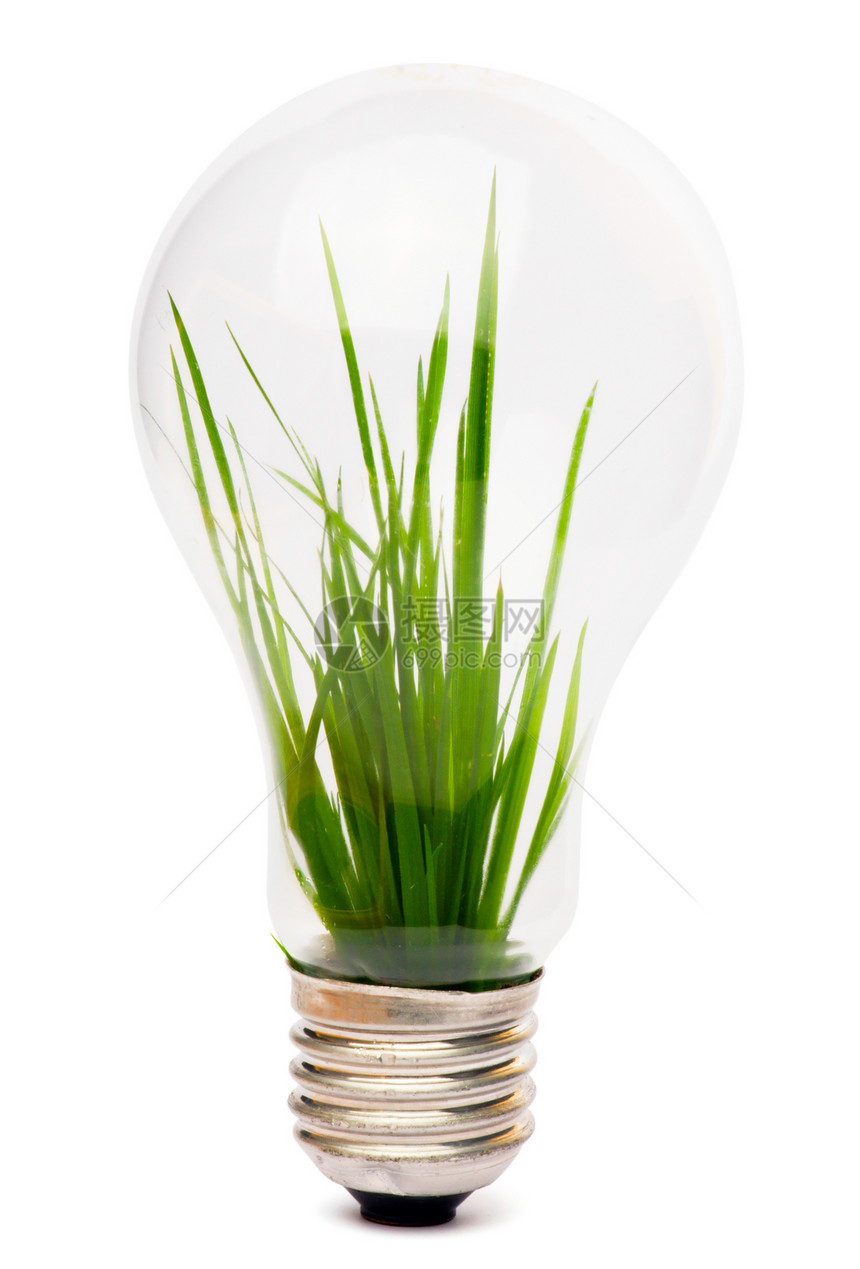 灯泡 里面生长植物发明行星技术全球资源光合作用地球环境绿色解决方案图片