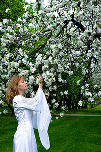 白娘子和白花婚礼神话裙子衣服苹果树传奇新娘公主小精灵故事背景图片