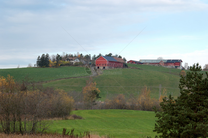山丘上的农场图片
