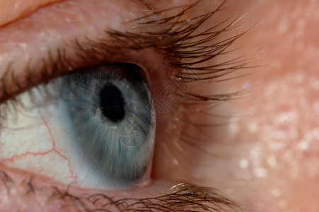 蓝眼鸢尾花睫毛眼球解剖学瞳孔白色血丝血管反射背景图片