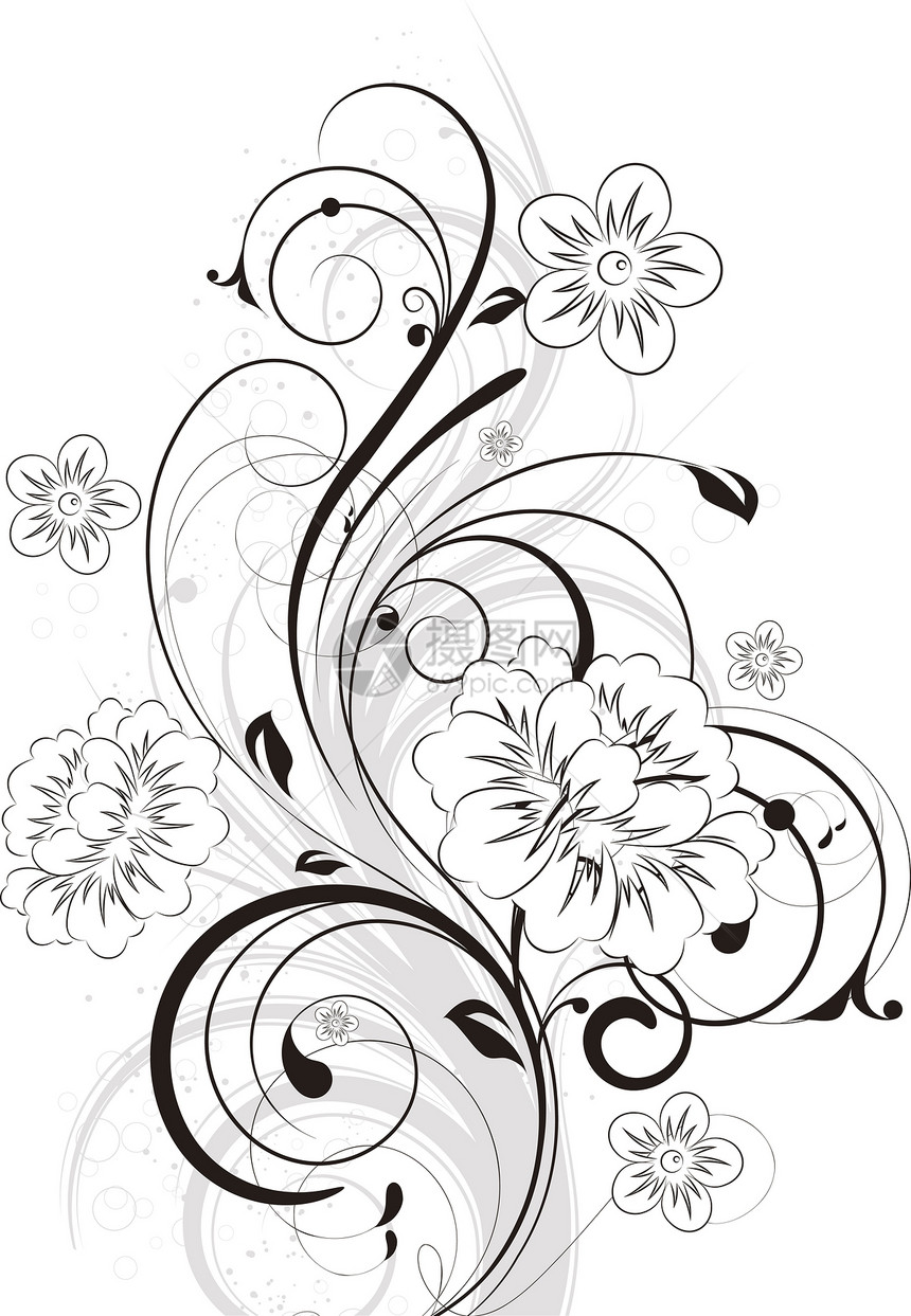 花粉设计元件卷曲绘画植物创造力叶子墙纸艺术品插图花丝图片