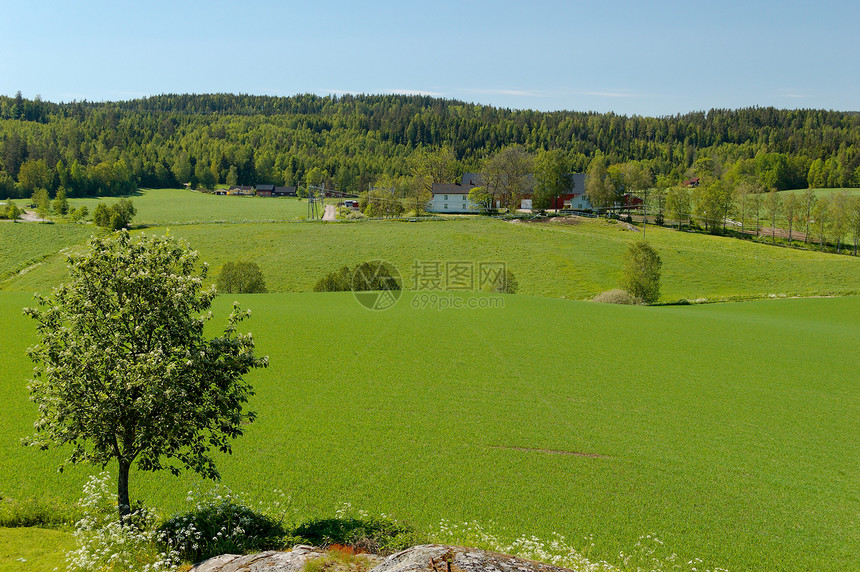 挪威野外景观Name图片