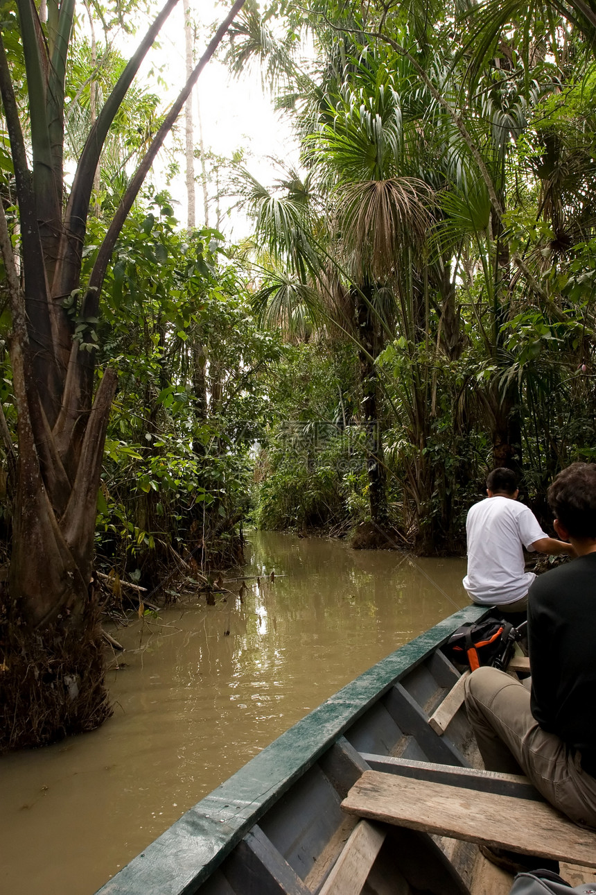 桑多瓦尔湖的独木舟国家热带丛林手掌森林旅行图片