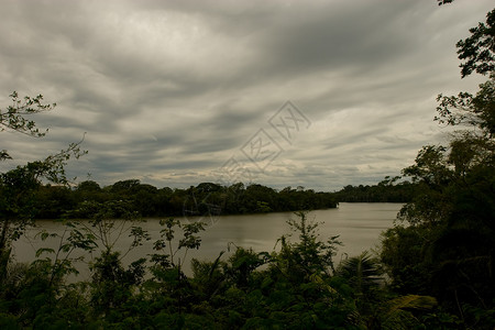 桑多瓦尔湖彩虹手掌旅行热带森林丛林高清图片