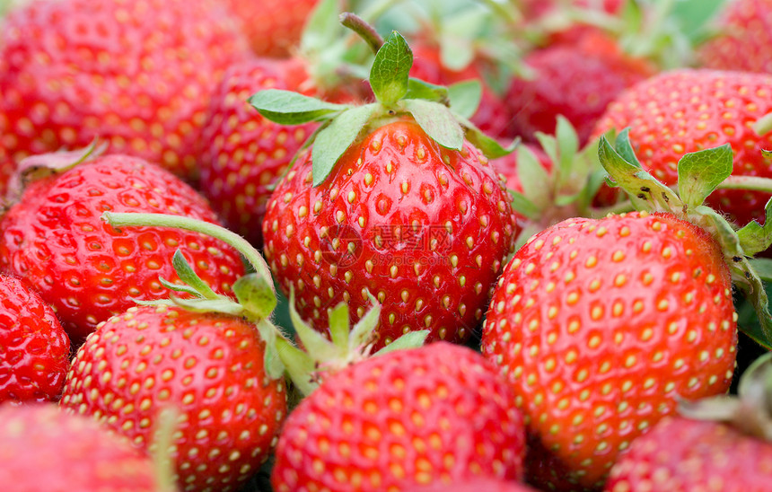 封闭草莓健康甜点红色活力白色叶子食物浆果团体图片