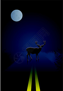 夜空中和月月背景的鹿在夜间穿越路面背景图片