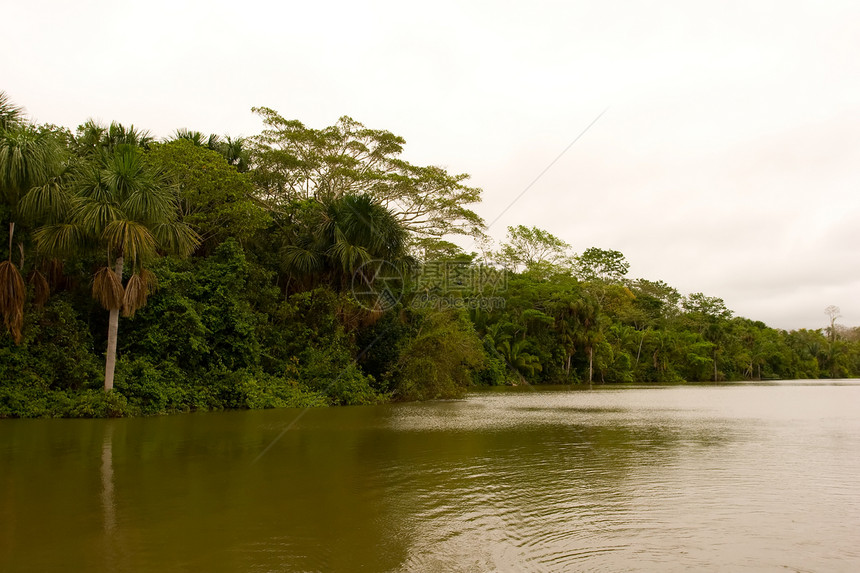 桑多瓦尔湖热带手掌森林丛林彩虹旅行图片