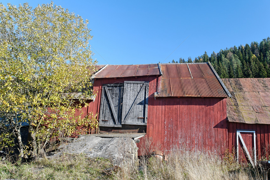 旧红营桦木建筑乡村红色图片