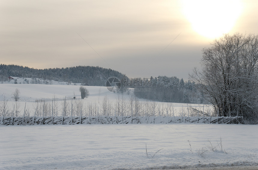 太阳下的雪场旅行栅栏木材树木农场天空阳光乌云粉色倾斜图片