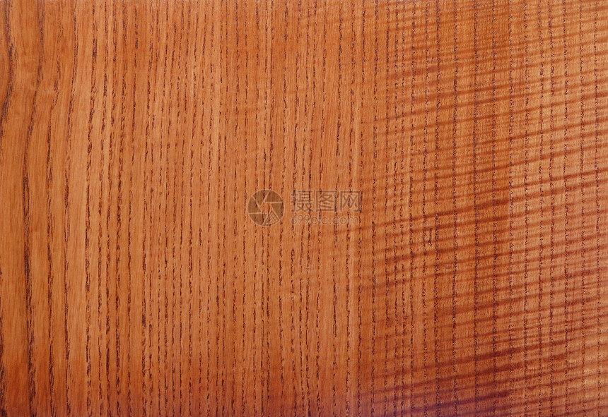 天然木木木背景材料控制板宏观棕色橡木山毛榉静脉碎片花园木材图片