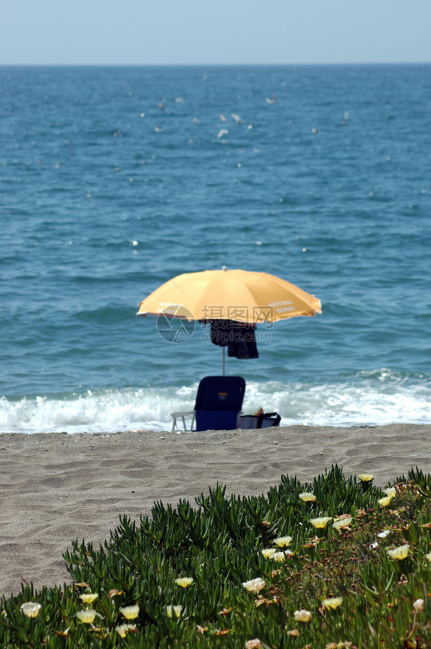 海滩波浪旅游热带海洋酷暑棕榈天空洗澡假期蓝色图片