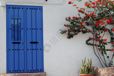 锁匠蓝色门平装木头木匠窗户钥匙入口废墟植物挂锁街道背景
