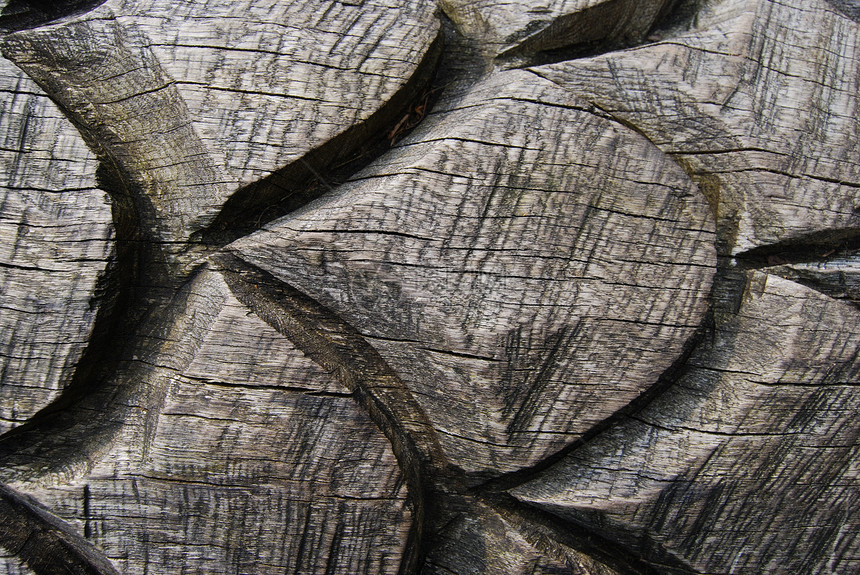 木制的装潢锥体木头松树棕色宏观生物学针叶庆典森林图片