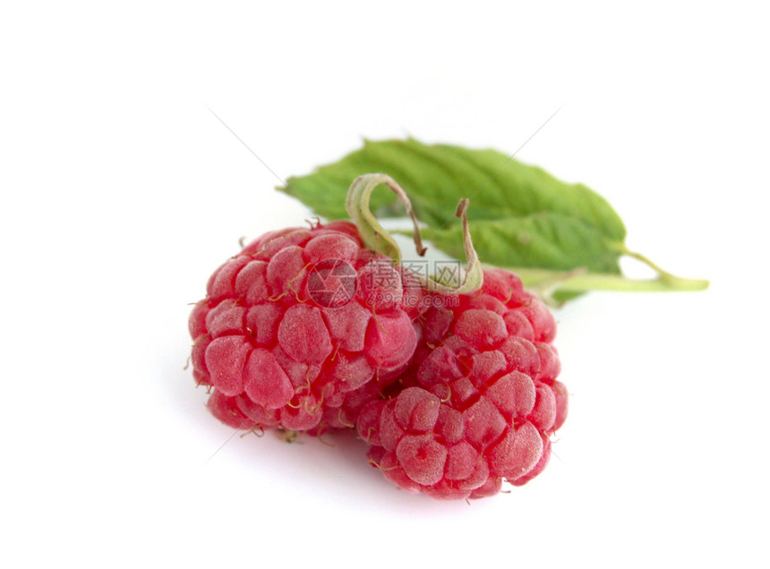草莓密闭水果粉色健康蔬菜树叶茶点美食宏观养分甜点图片