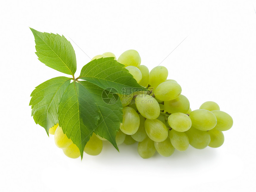 一群新鲜的葡萄 白叶片被切除叶子藤蔓食物酒厂维生素水果绿色饮食营养果汁图片