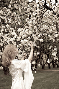 白娘子和白花故事衣服小精灵女性棕褐色草地树林神话女士花园背景图片