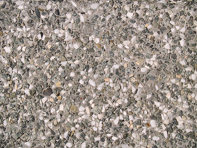 花状碎屑岩石材料矿物质巨石椭圆形石头海滩地质学卵石砂岩背景图片