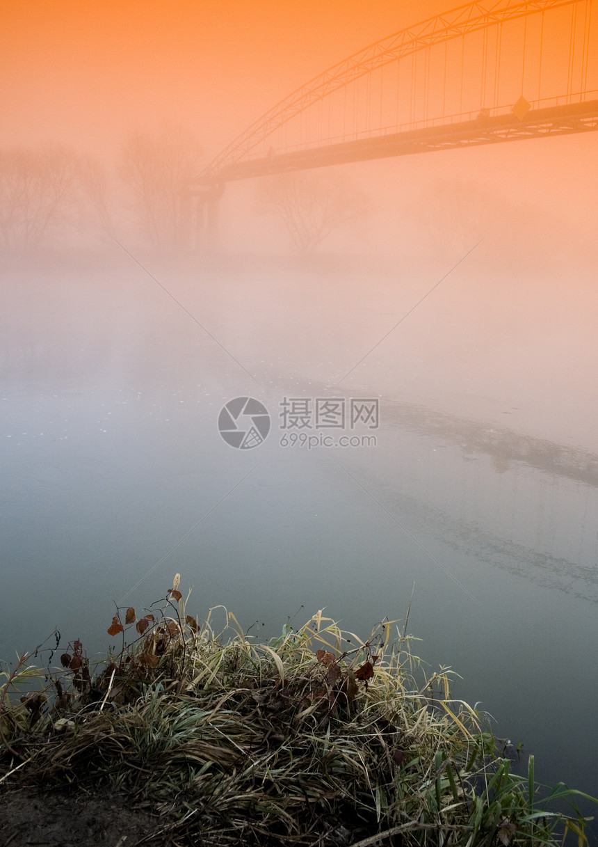 福吉秋秋农业场地薄雾季节场景阳光风光天空叶子农场图片