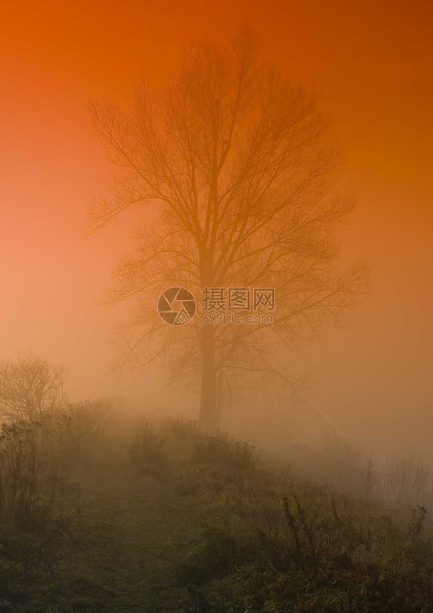 福吉秋秋薄雾叶子场地天空文化农场风景植物太阳玉米图片