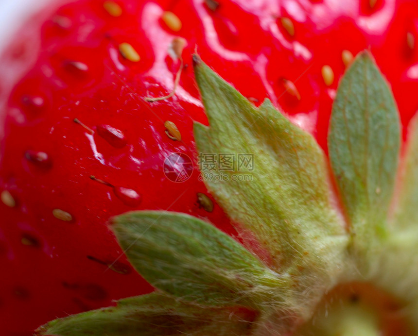 草莓宏饮食养分食欲甜点宏观水果食物叶子浆果种子图片